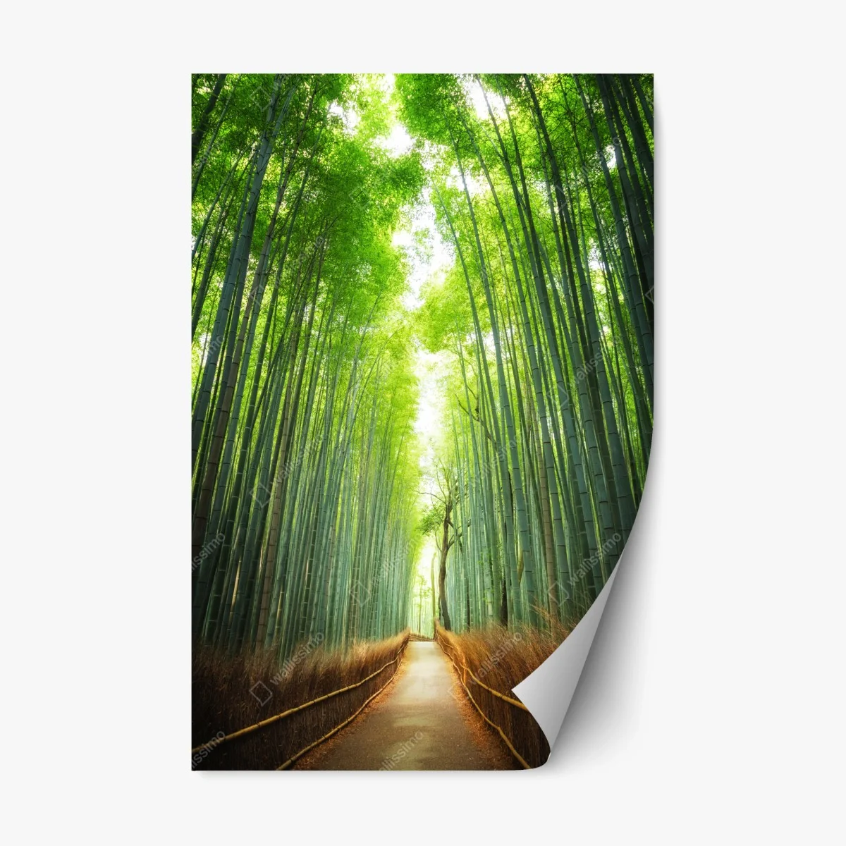 Repositionable sticker pathway through Arashiyama bamboo grove • Wallissimo® Repositionable sticker pathway through Arashiyama bamboo grove • Wallissimo®