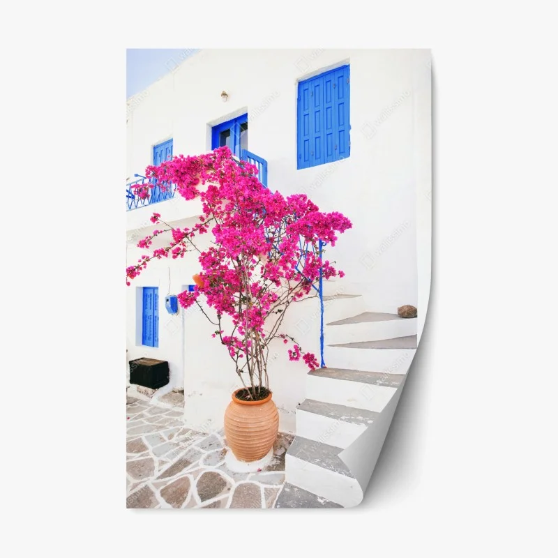 Repositionable sticker pink bougainvillea on white Greek house