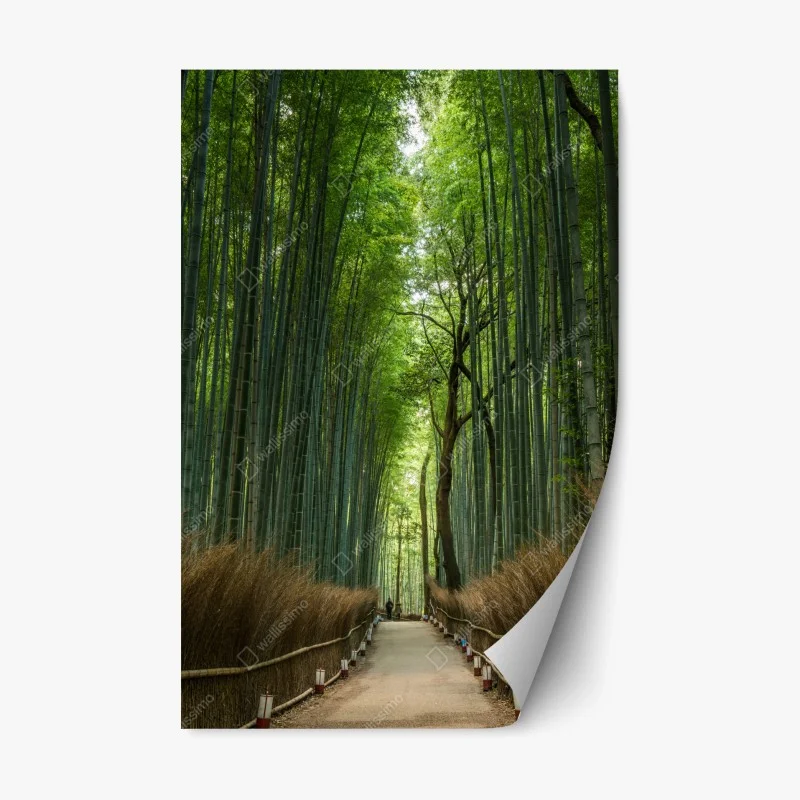 Repositionable sticker serene bamboo grove pathway