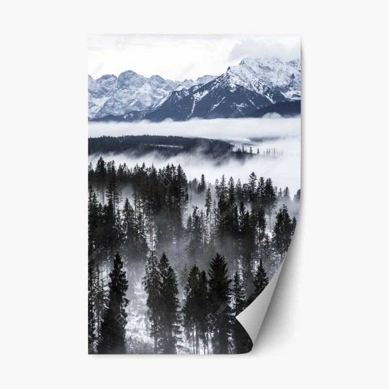 Repositionable sticker monochrome botanical leaf composition • Wallissimo®