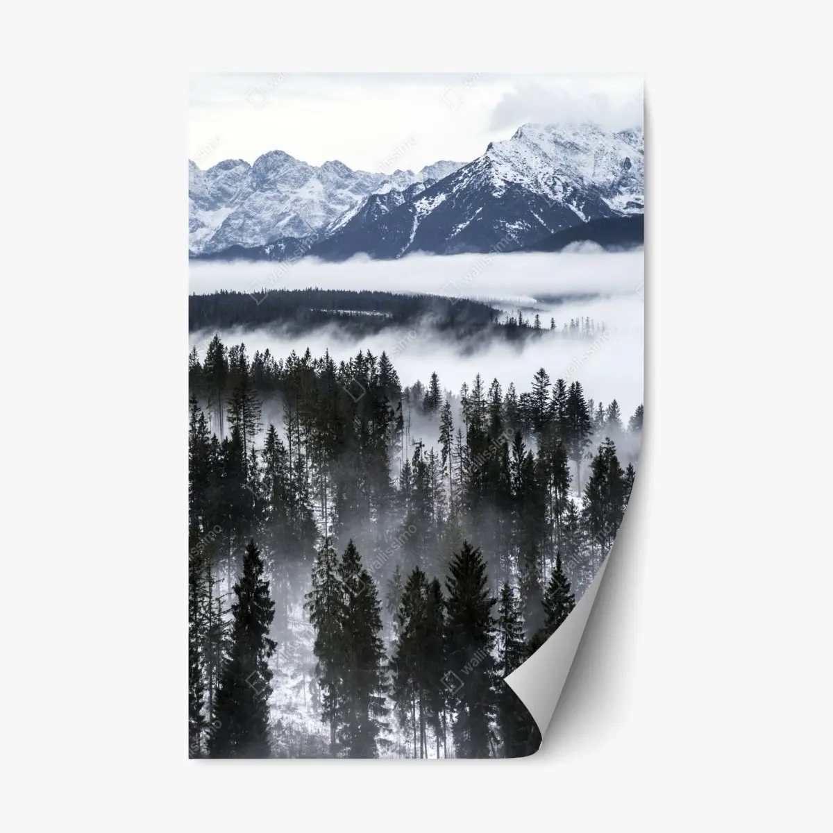 Repositionable sticker Tatra mountains in winter mist • Wallissimo® Repositionable sticker Tatra mountains in winter mist • Wallissimo®