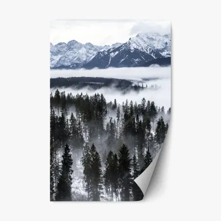 Repositionable sticker Tatra mountains in winter mist • Wallissimo®