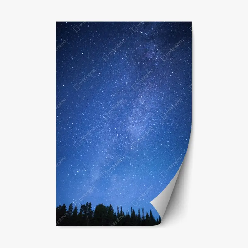 Repositionable sticker starlit Milky Way over forest