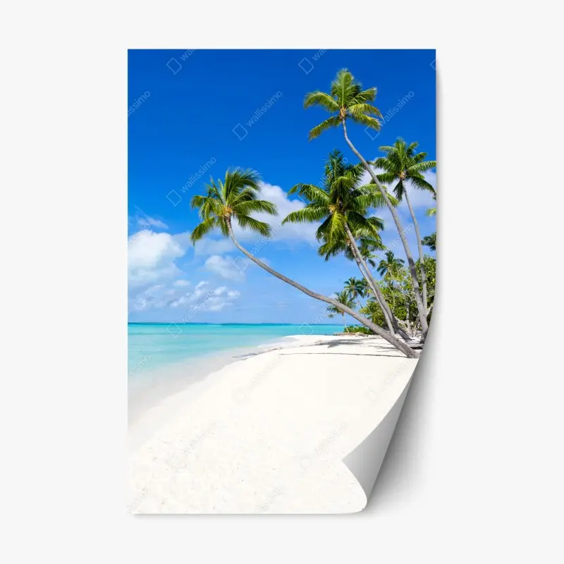Repositionable sticker tropical hummingbirds and plumeria watercolor pattern • Wallissimo®