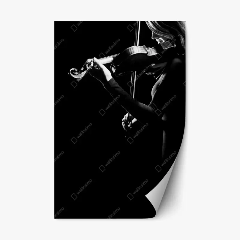 Repositionable sticker elegant violinist in silhouette