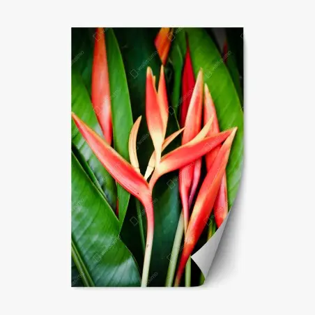 Repositionable sticker vibrant tropical heliconia bloom • Wallissimo®
