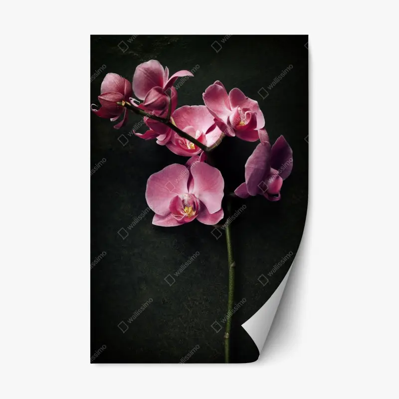 Repositionable sticker soft blue botanical pattern • Wallissimo®