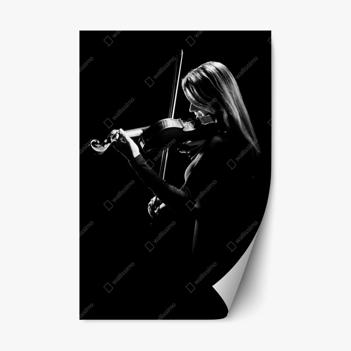 Repositionable sticker elegant violinist silhouette • Wallissimo® Repositionable sticker elegant violinist silhouette • Wallissimo®