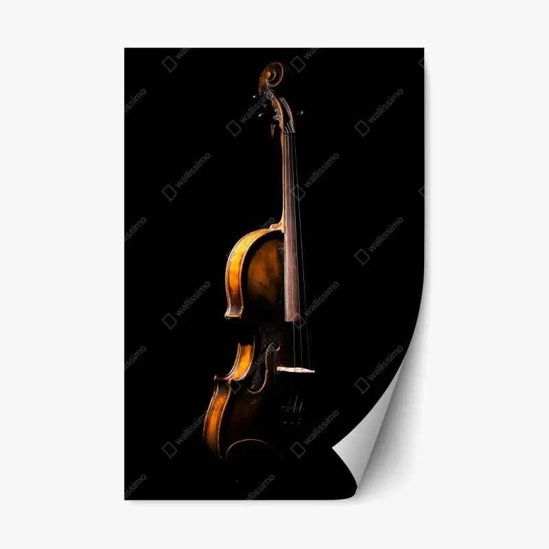 Repositionable sticker elegant vintage violin on black background