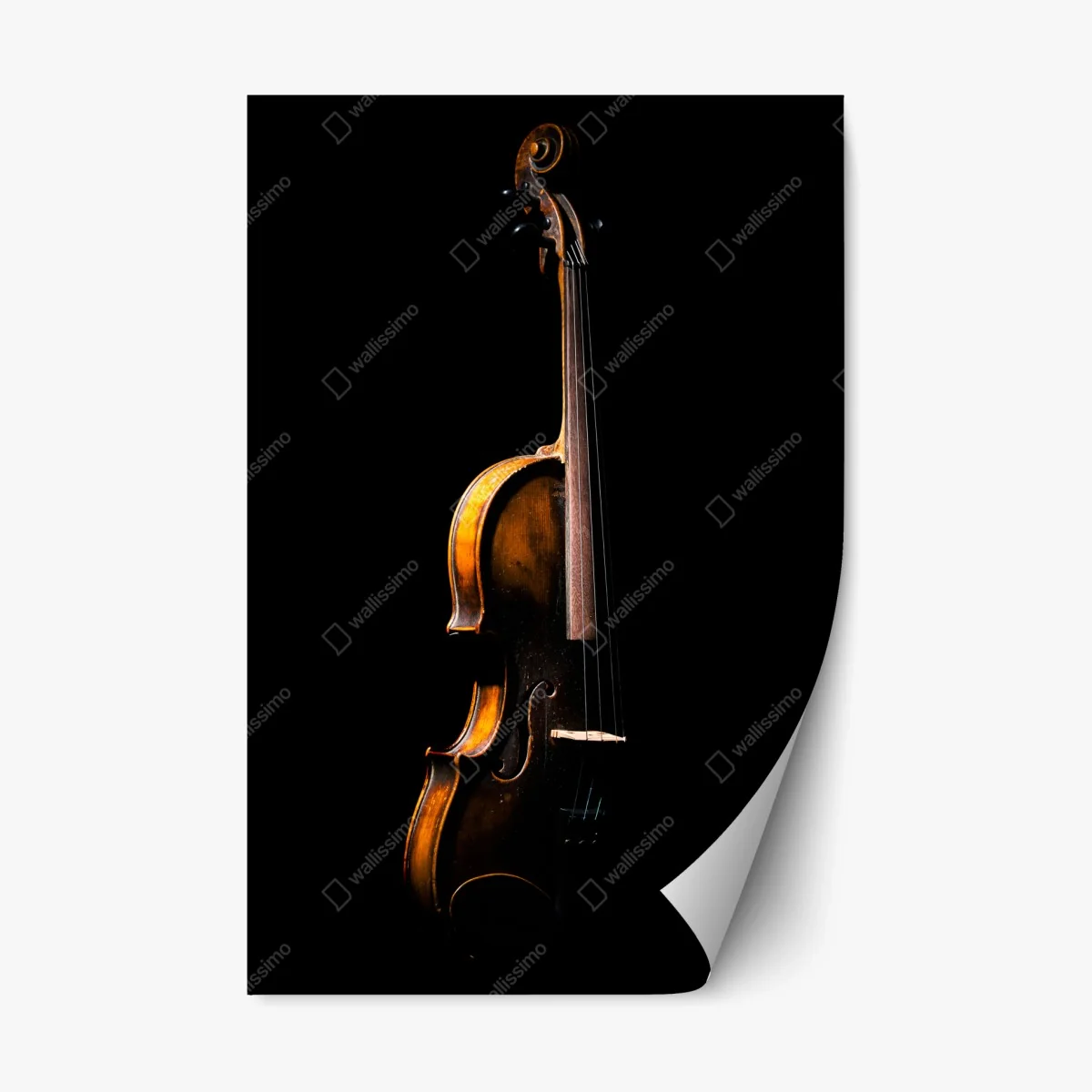 Repositionable sticker elegant vintage violin on black background • Wallissimo® Repositionable sticker elegant vintage violin on black background • Wallissimo®