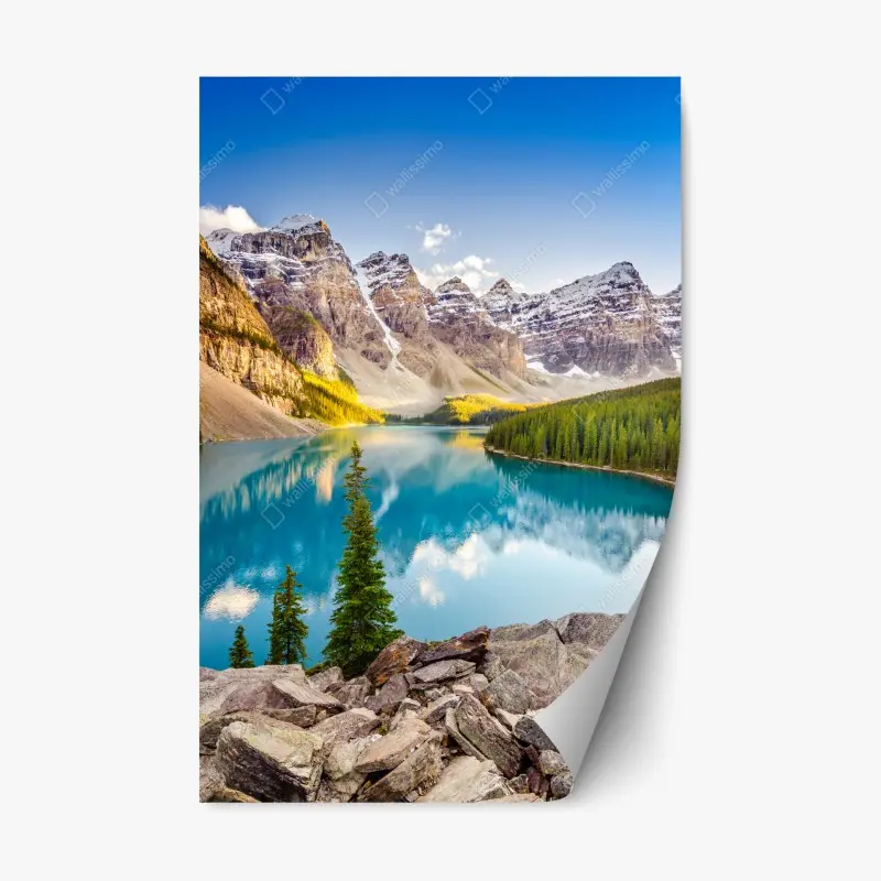 Repositionable sticker • Wallissimo®