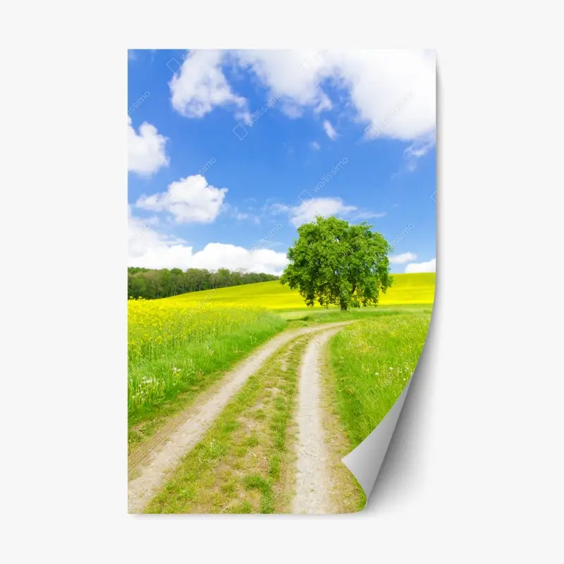 Repositionable sticker • Wallissimo®