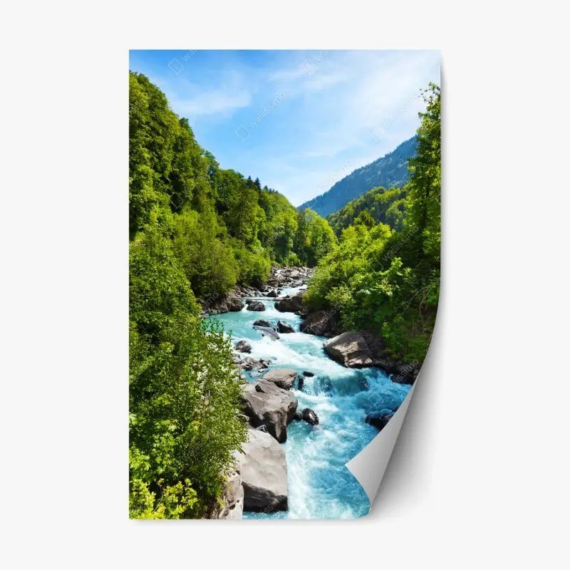 Repositionable sticker • Wallissimo®