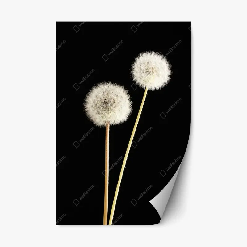Repositionable sticker golden leopards and red roses pattern • Wallissimo®