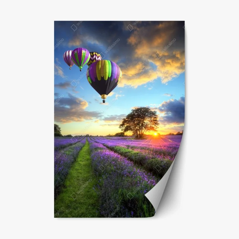 Repositionable sticker lavender sunset with hot air balloons