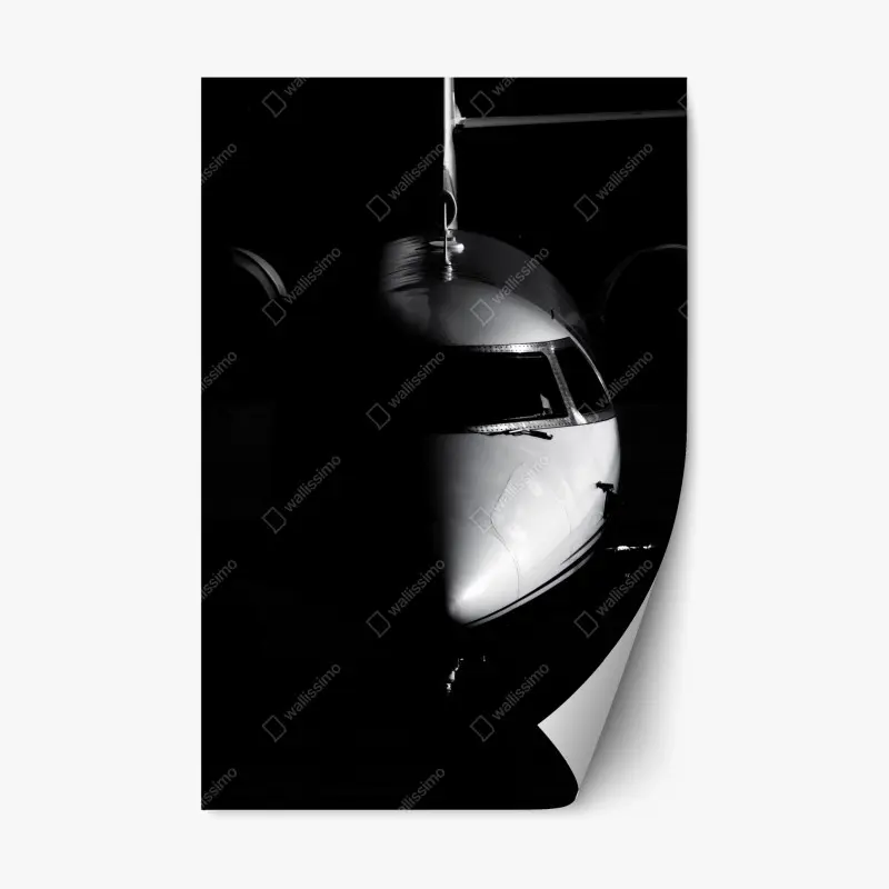 Repositionable sticker monochrome jet nose portrait