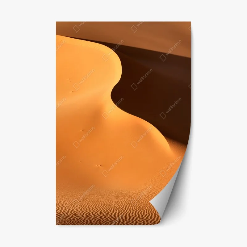 Repositionable sticker golden dune curves
