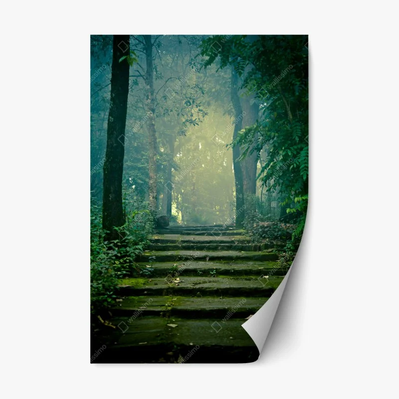 Repositionable sticker moss-covered stone path into a misty forest