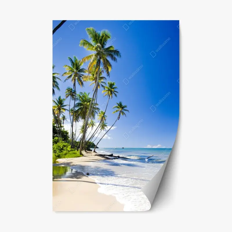 Repositionable sticker tropical palm beach under blue sky
