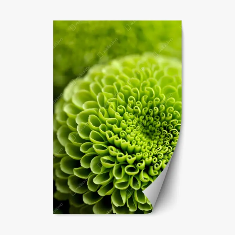 Repositionable sticker • Wallissimo®