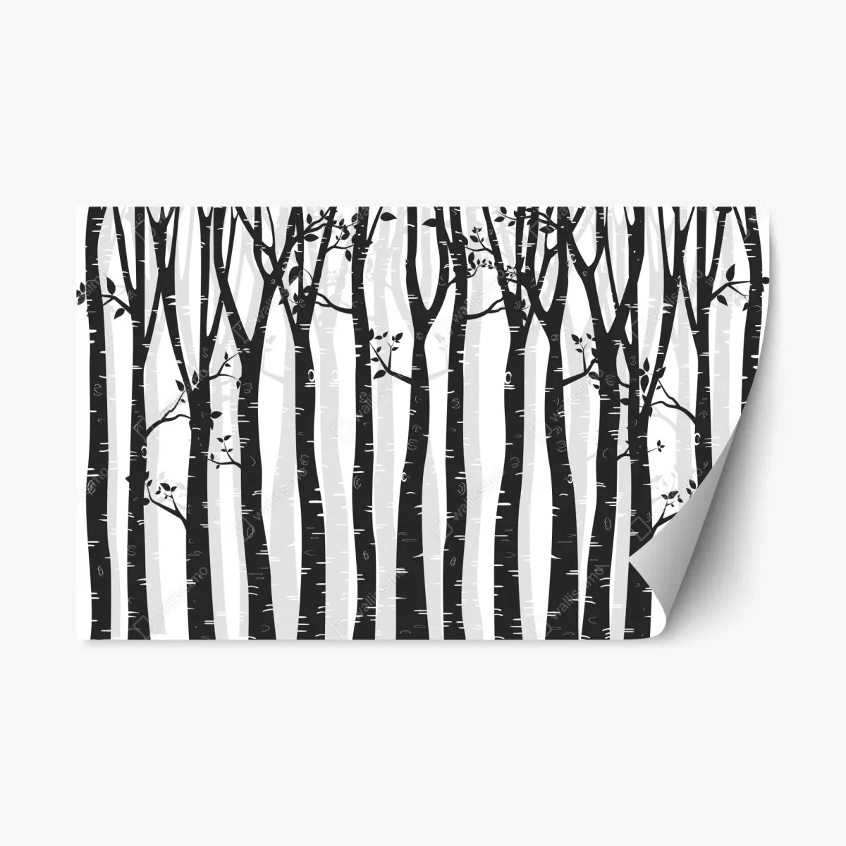 Repositionable sticker monochrome birch forest illustration • Wallissimo® Repositionable sticker monochrome birch forest illustration • Wallissimo®