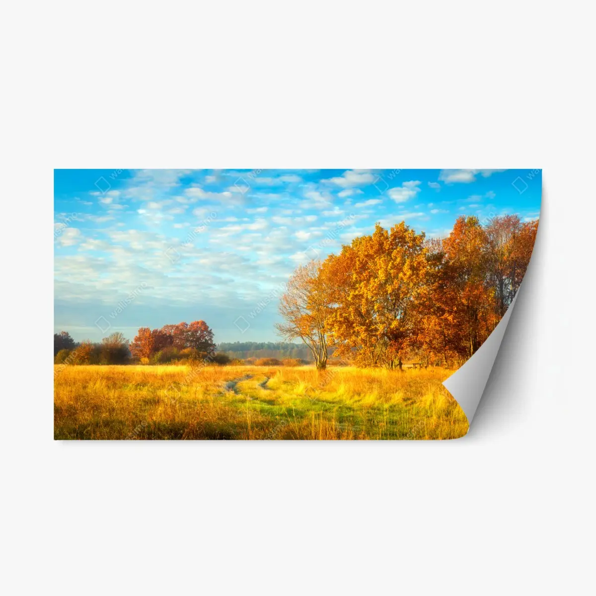 Repositionable sticker golden autumn meadow • Wallissimo® Repositionable sticker golden autumn meadow • Wallissimo®