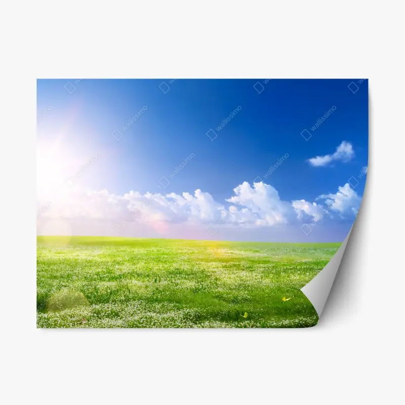 Repositionable sticker bright sunflower close-up • Wallissimo®