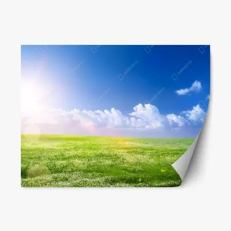 Repositionable sticker sunny spring meadow with blue sky • Wallissimo®