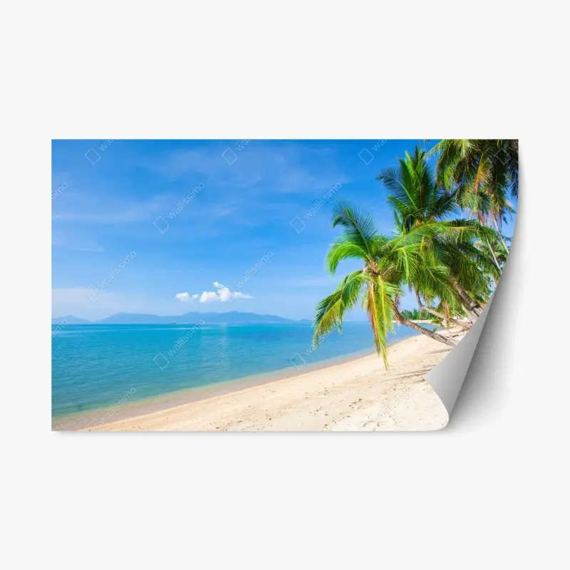 Repositionable sticker tropical palm beach paradise