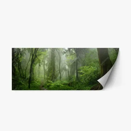 Repositionable sticker misty tropical jungle pathway • Wallissimo®