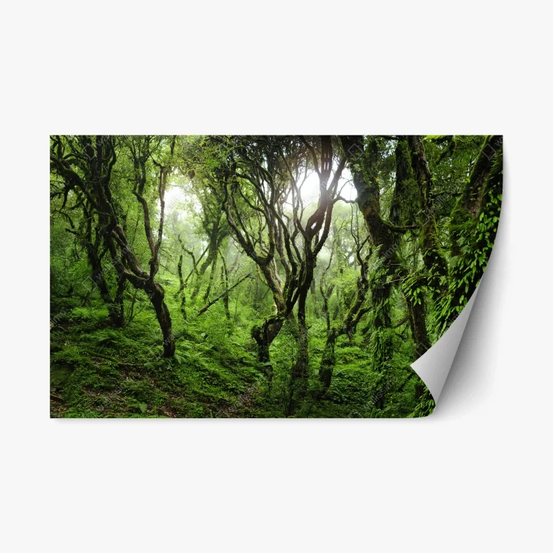 Repositionable sticker mystic green forest canopy