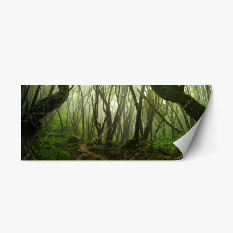 Repositionable sticker misty green forest path