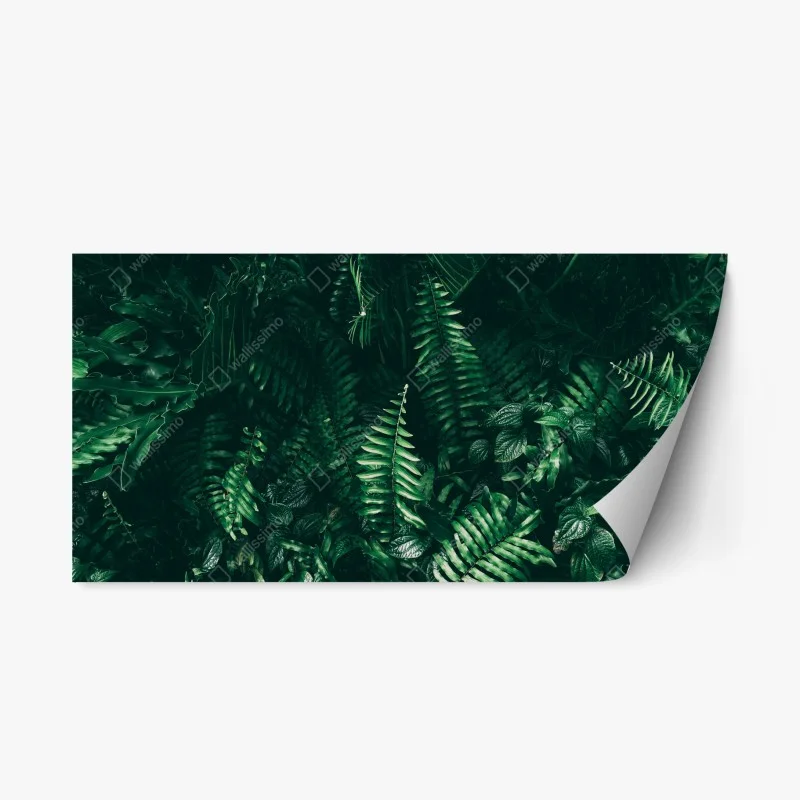 Repositionable sticker tropical green leaves composition