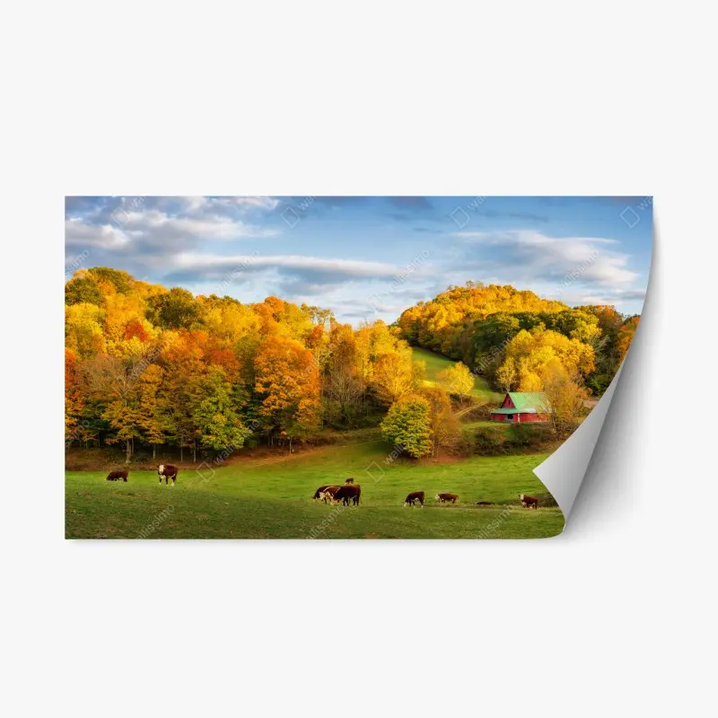 Repositionable sticker • Wallissimo®
