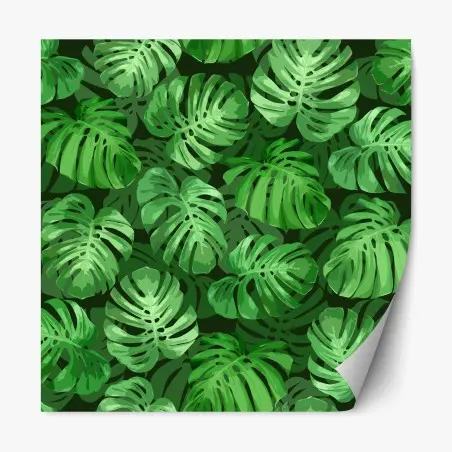 Repositionable sticker tropical monstera leaf pattern • Wallissimo®