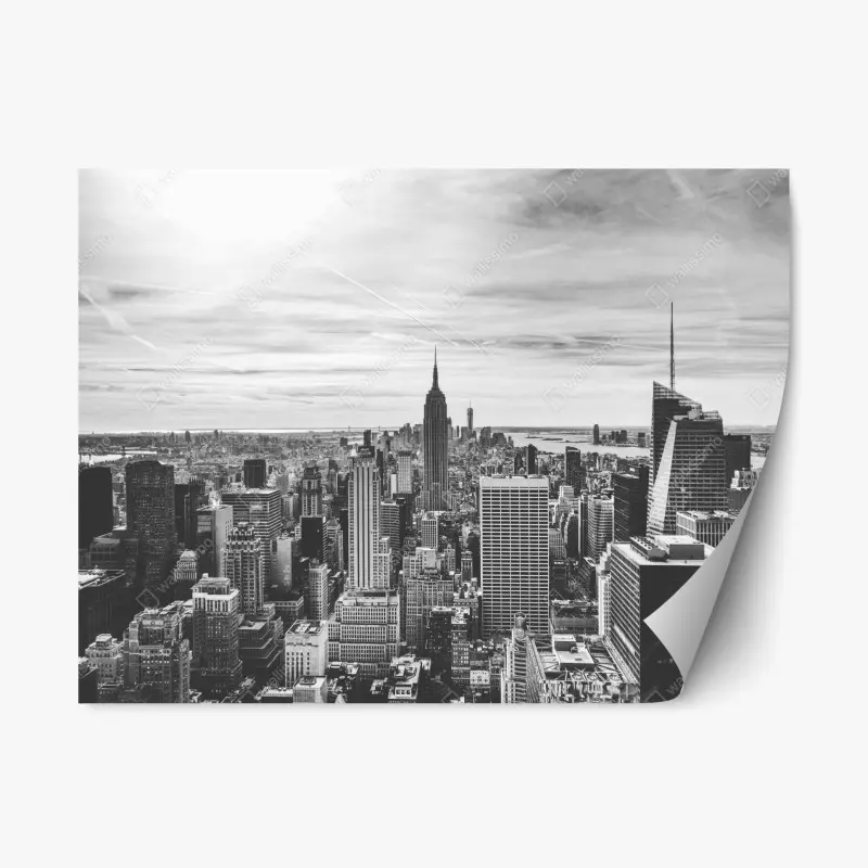 Repositionable sticker • Wallissimo®