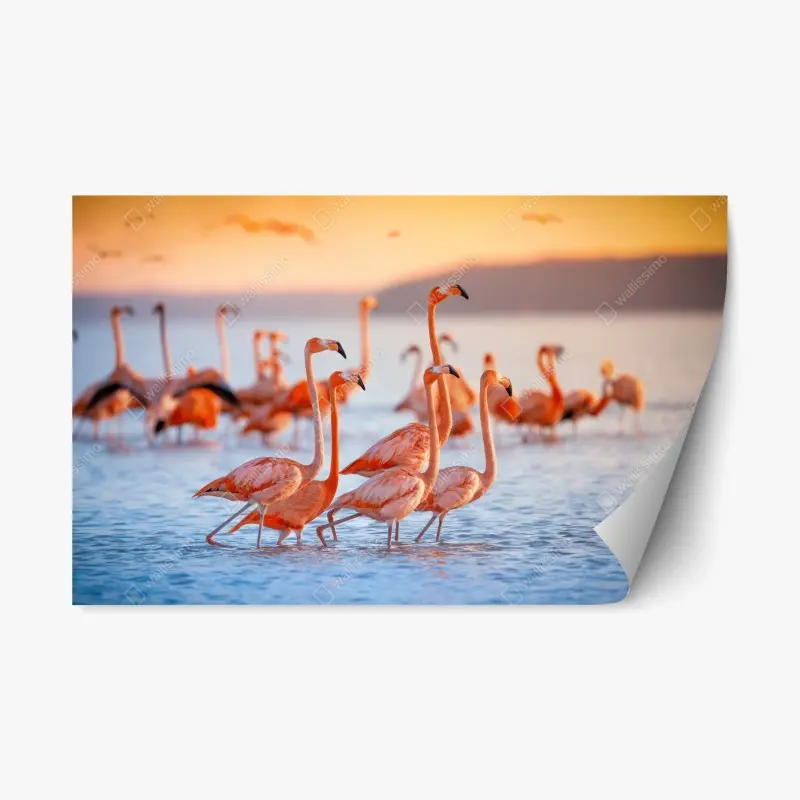 Repositionable sticker pink flamingos at sunset
