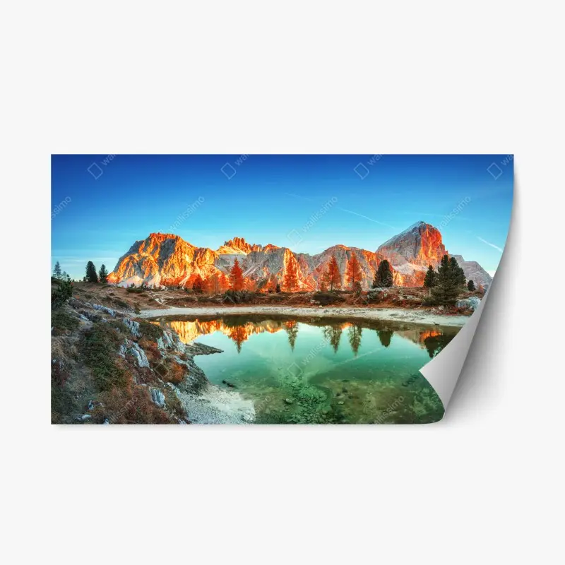 Repositionable sticker • Wallissimo®