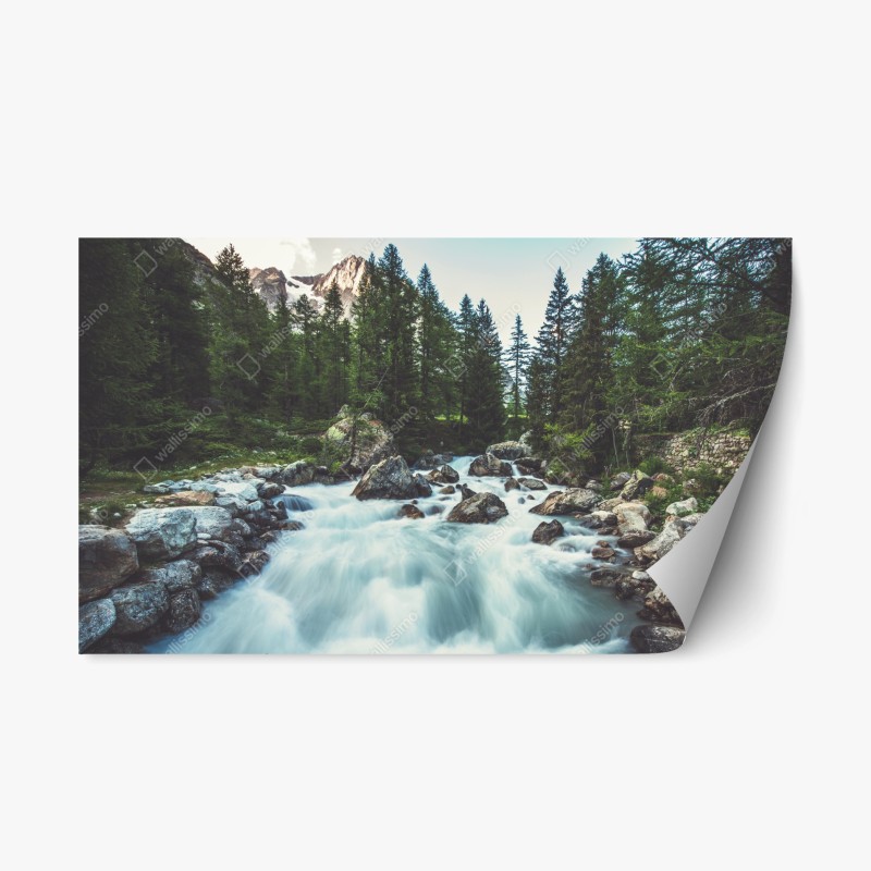 Repositionable sticker scenic alpine river in Ferret Valley