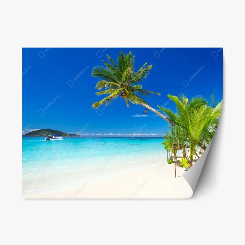Repositionable sticker • Wallissimo®