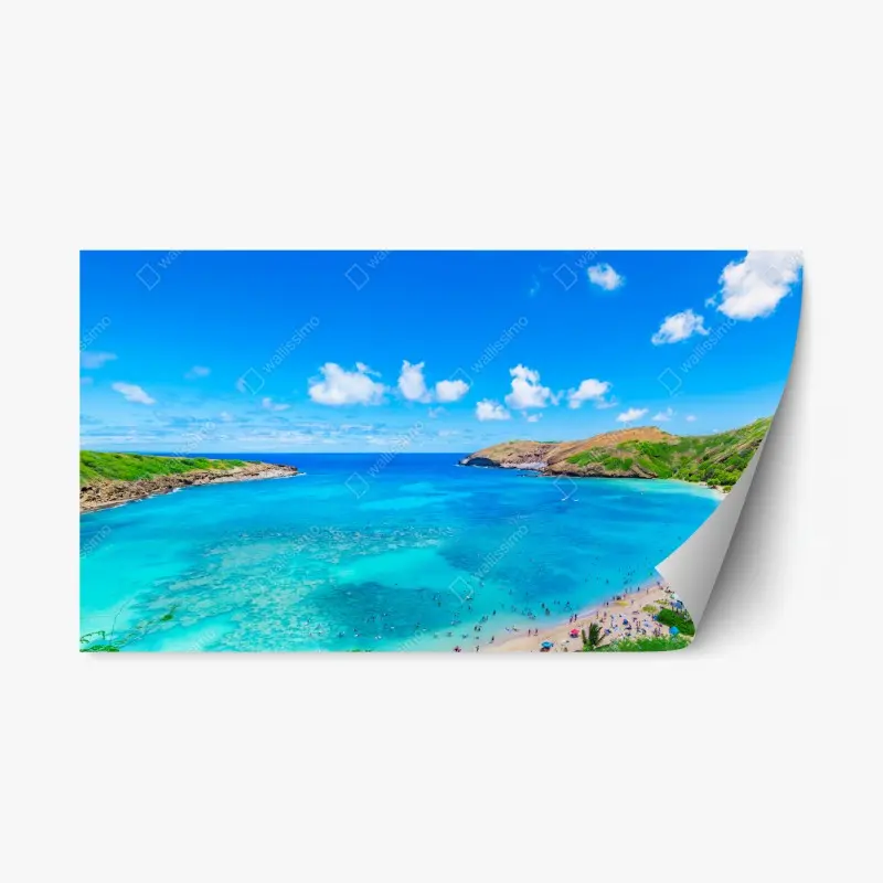 Repositionable sticker • Wallissimo®