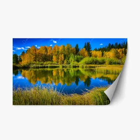 Repositionable sticker autumn trees reflected on a glassy lake • Wallissimo®