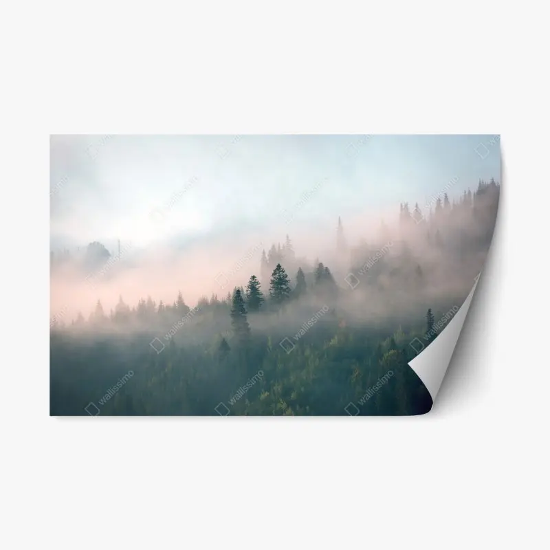 Repositionable sticker misty morning forest landscape