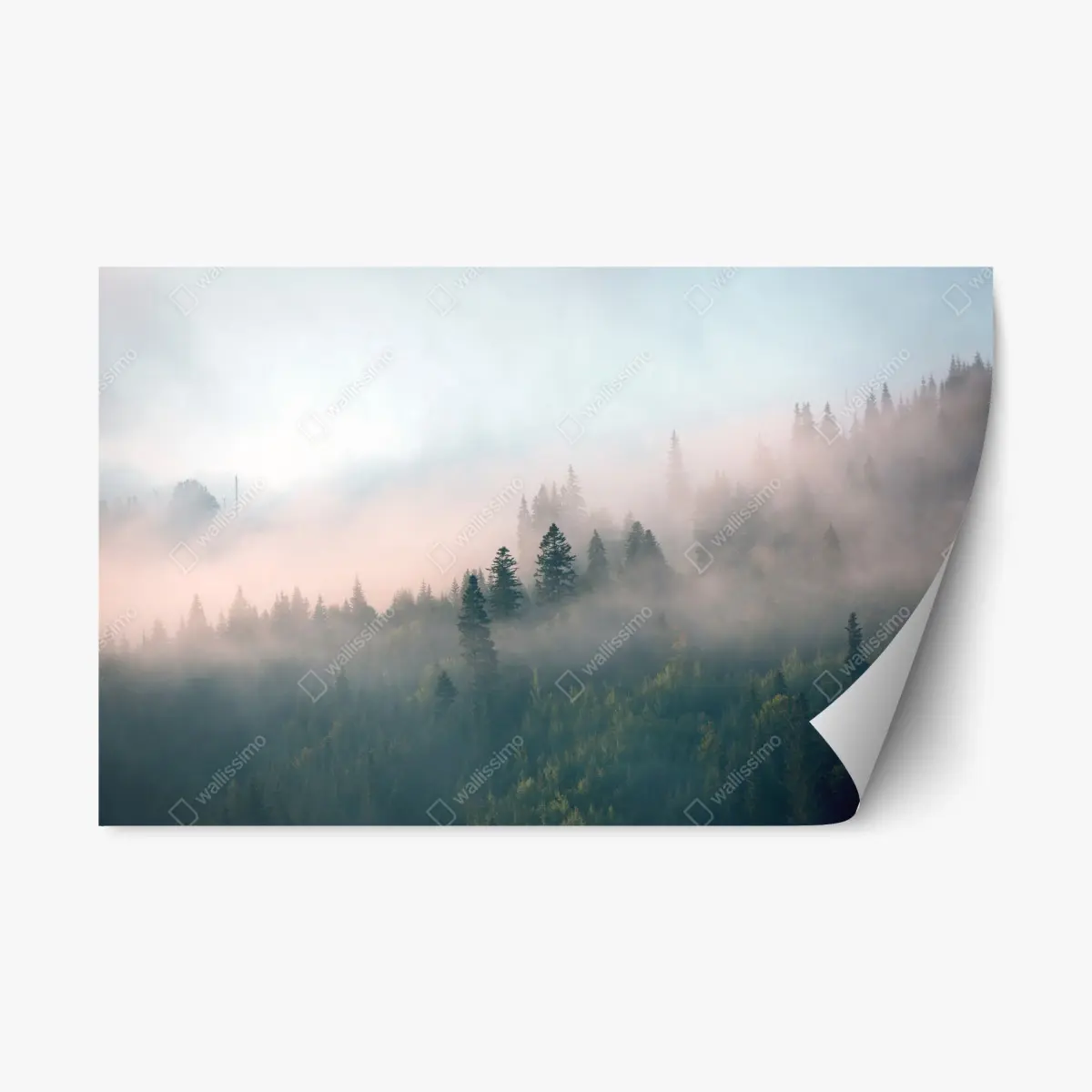 Repositionable sticker misty morning forest landscape • Wallissimo® Repositionable sticker misty morning forest landscape • Wallissimo®