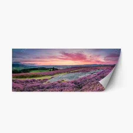 Repositionable sticker purple heather meadows at sunset • Wallissimo®