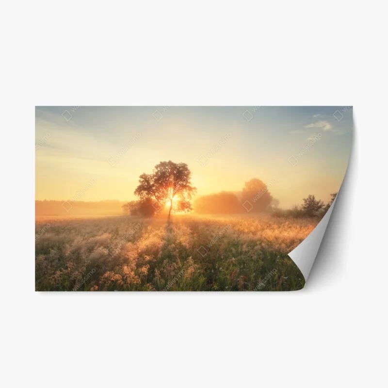 Repositionable sticker golden sunrise over misty meadow