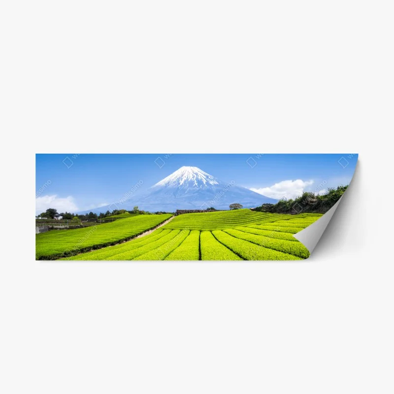 Repositionable sticker lush tea fields beneath Mount Fuji