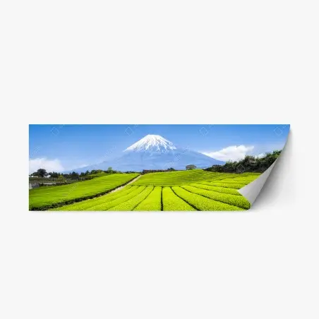 Repositionable sticker lush tea fields beneath Mount Fuji • Wallissimo®