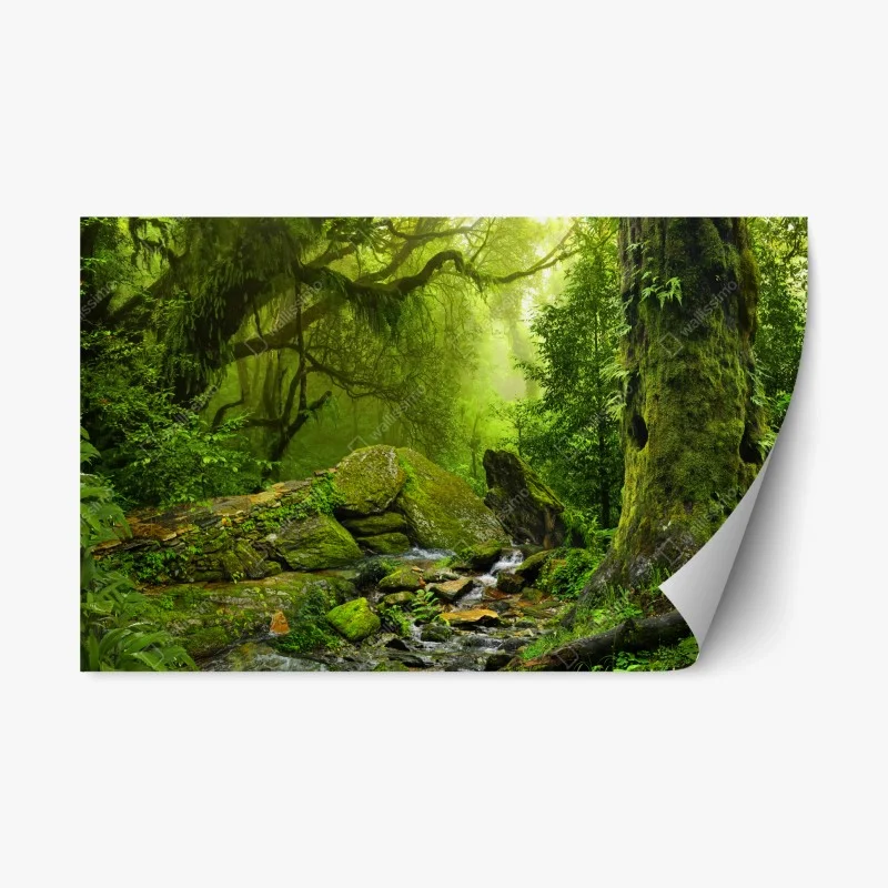 Repositionable sticker moss-covered woodland stream