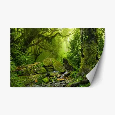 Repositionable sticker moss-covered woodland stream • Wallissimo®